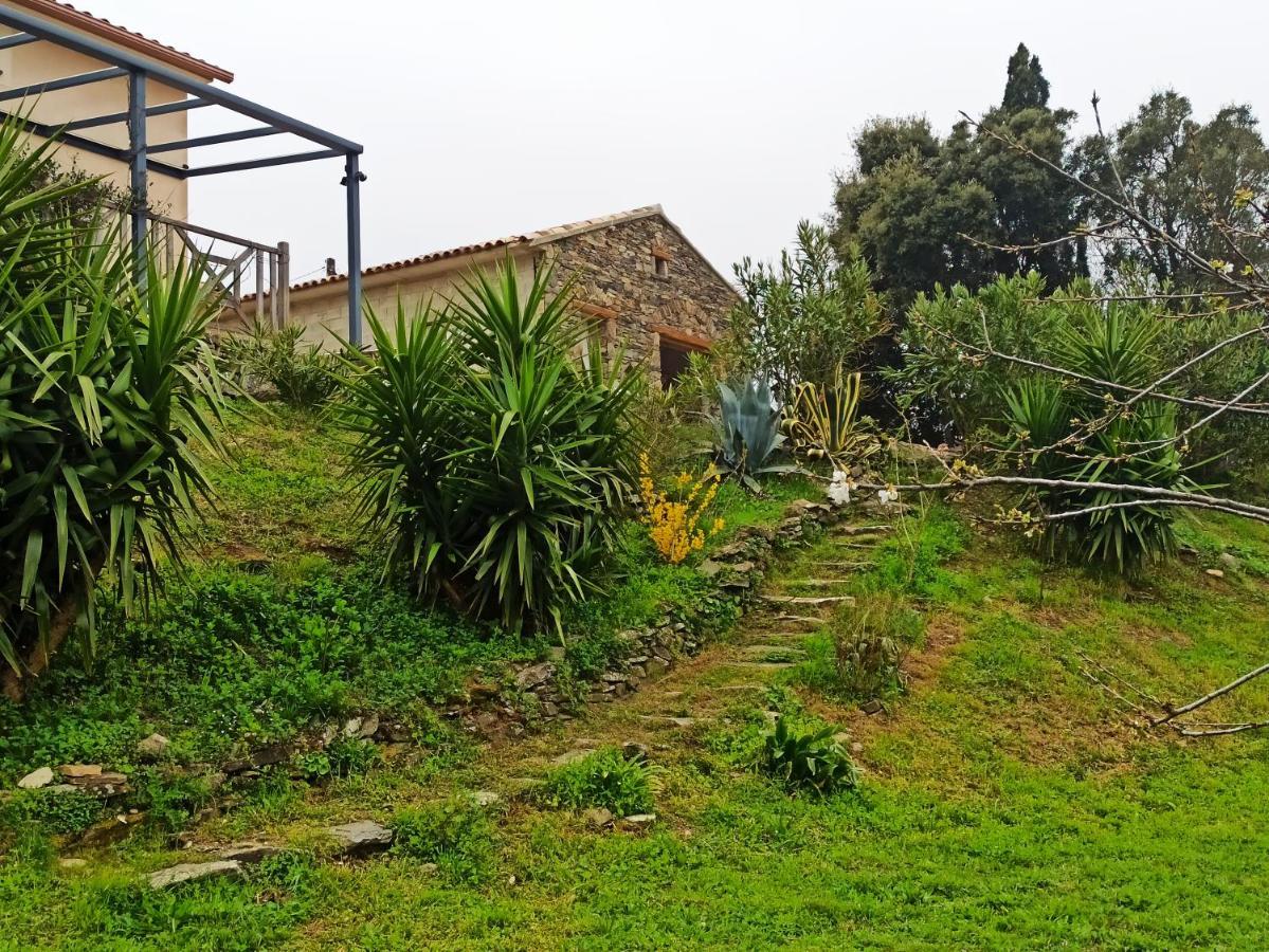 Casa Bonino Hotel Prunelli-di-Fiumorbo Екстериор снимка